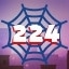 Web 224