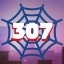 Web 307