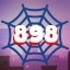 Web 898