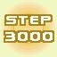 STEP 3000
