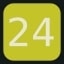 Level 24