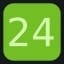 Level 24