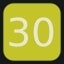 Level 30
