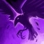 Night Raven