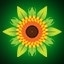FlowerPower