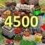 Complete 4500 Towns