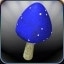 Magic Shrooms