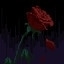 Withering Rose