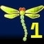 Hidden Dragonfly #1