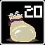 20 in the Bag