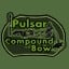 Compound Bow Pulsar (Forest Camo)