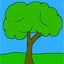 Woods