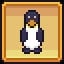 Penguin Expert