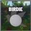 First Birdie