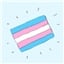 Trans Rights!
