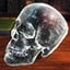 Get Rid of The Skull (Crystal Skull I)