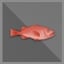 100 kg Red Fish