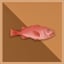 1.000 kg Red Fish