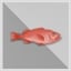 10.000 kg Red Fish