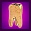 Tooth