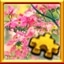 All Cherry Blossoms Puzzles Complete!