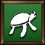 Task Turtle