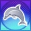 Swim with dolphins!