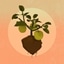 Seed 9 - Apple
