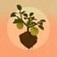 Seed 9 - Apple - Crops