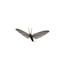10 mayflies