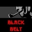 Black Belt - Hideyoshi