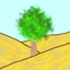 Tree on a desert