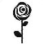 274_Rose_flower_0