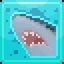 Angry Shark!
