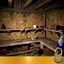 Master Cave Plunderer
