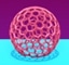 Holey