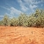 Welcome to the Australian Outback