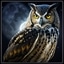 Night Owl