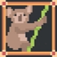 Win with Koala Bear