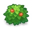 Shrubbery