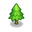 Young Pine
