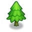 Mature Pine