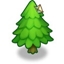 Tall Pine