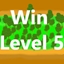 Win Level 5