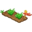 Growing Wheat