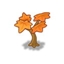 Growing Maple