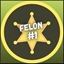 #1 Felon
