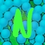 N