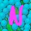 N