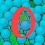O
